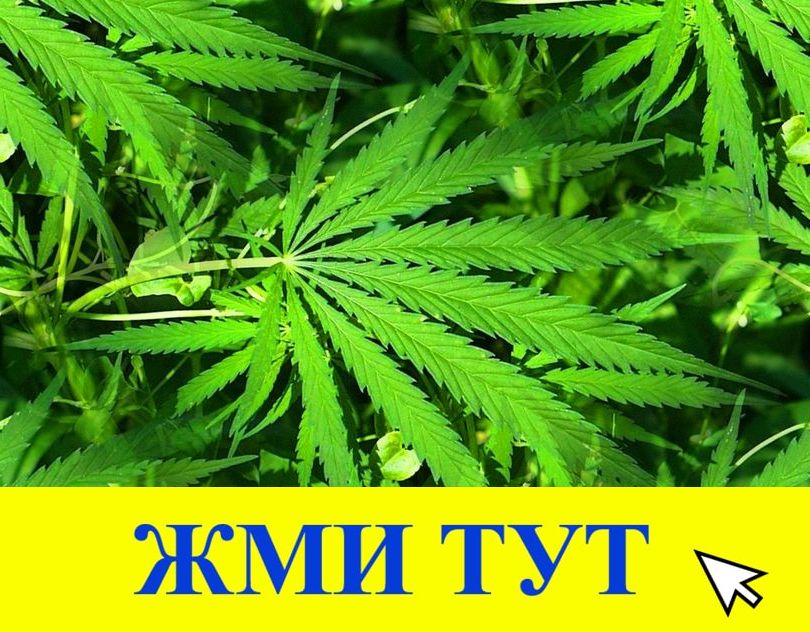 Купить наркотики в Томске